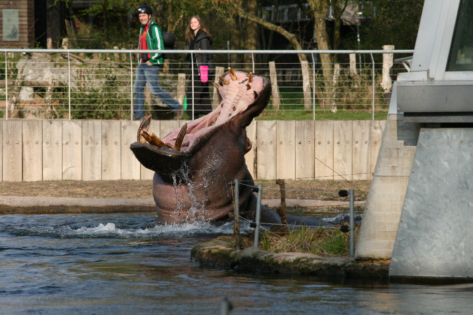 ZOO CPH